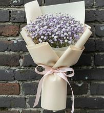 Букет цветов из:  Гипсофила в Николаевской Республики Чечня