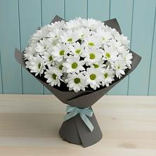 Букет цветов из:  Хризантемы в Николаевской Республики Чечня