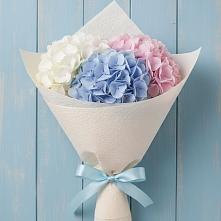 Букет цветов из:  Гортензия в Николаевской Республики Чечня