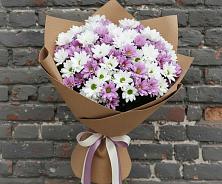 Букет цветов из:  Хризантемы в Николаевской Республики Чечня