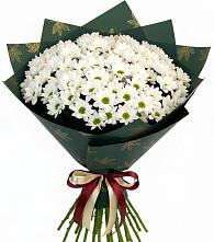 Букет цветов из:  Хризантемы в Николаевской Республики Чечня