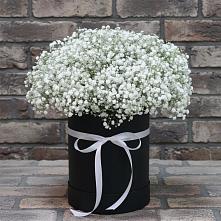 Цветочная композиция из Гипсофила в шляпной коробке в Николаевской Республики Чечня