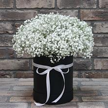 Цветочная композиция из Гипсофила в шляпной коробке в Николаевской Республики Чечня