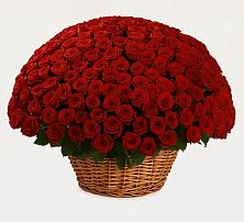 Премиум букет из: Розы #REPLACE_PRED# Николаевской Республики Чечня